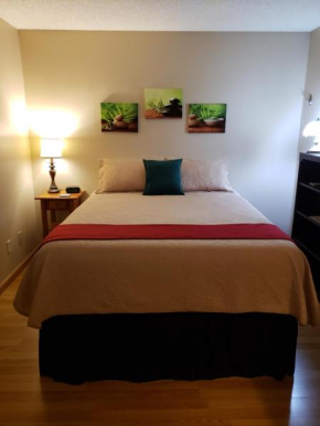 Entire 1 BR Condo- Near Anschutz, UC Health, DIA- In-Unit Washer Dryer- Seasonal Discounts!